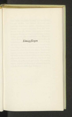 Eintagsfliegen