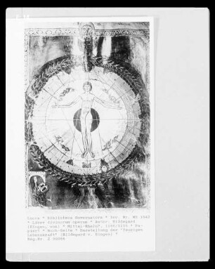 Liber divinorum operum — Buchseite