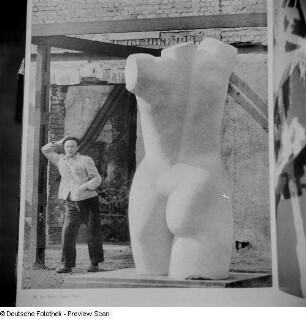 Reproduktion einer Fotografie Wolf Straches "Der Torso"