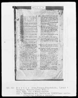 Kanonessammlung — Initiale I(incipiunt ecclesiastice), Folio 1recto