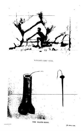 THE DEATH BONE