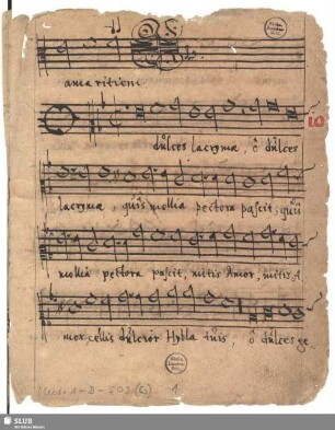 110 Motets - Mus.1-D-503 : V (X)