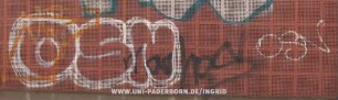 OSN