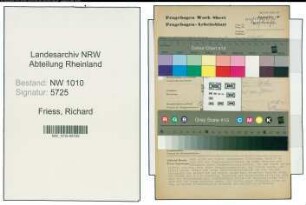 Entnazifizierung Richard Friess , geb. 23.01.1900 (Stahlbaukonstrukteur)