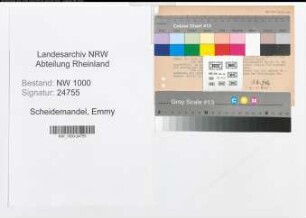 Entnazifizierung Emmy Scheidemandel, geb. 16.11.1901 ()