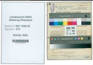 Entnazifizierung Willy Krichel , geb. 10.09.1891 (Kaufmann)