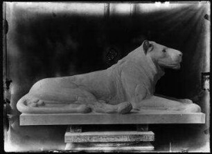 Ohne Titel (Im Atelier von August Gaul: Skulptur eines liegenden jungen Löwen, nach rechts gewand)
