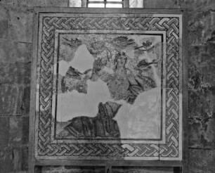 Meeresnymphe Thetis