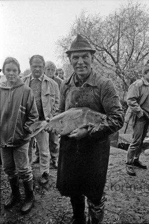 Moorteich: Abfischen: Pächter Harald Duis mit Karpfen: dahinter Personen und Bäume