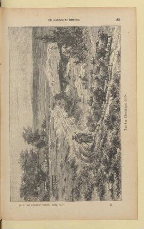 Aus der Lüneburger Heide