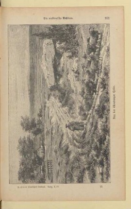 Aus der Lüneburger Heide