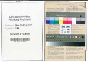 Entnazifizierung Friedrich Schmidt , geb. 18.01.1901 (Lehrer)