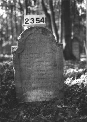 Grabstein 2354