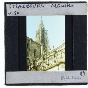 Straßburg, Münster