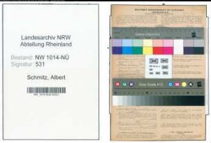 Entnazifizierung Albert Schmitz , geb. 03.04.1898 (Kaufmann)
