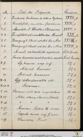 Präparate Nr. 1-100