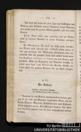§. 31. Die Sellerie.