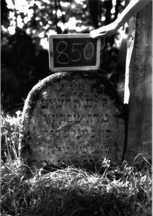 Grabstein 850 (Index: 100102939) Material: Sandstein Zustand: leicht angewittert, eingesunken Maße HxBxT: 61x54x9 cm Beschreibung: Stele, Rundbogenabschluss, Schriftfeld eingetieft: Grabstein 850