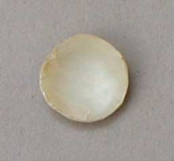 Shell disc