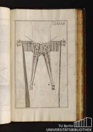 Tab. XXXIV.
