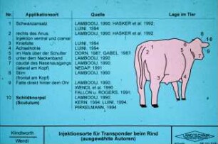 Injektionsorte für Transponder beim Rind (ausgewählte Autoren)