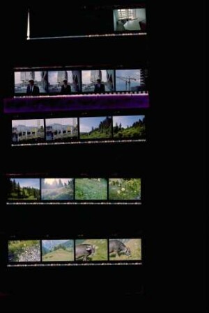 Landesschau-Bilder: Sommer