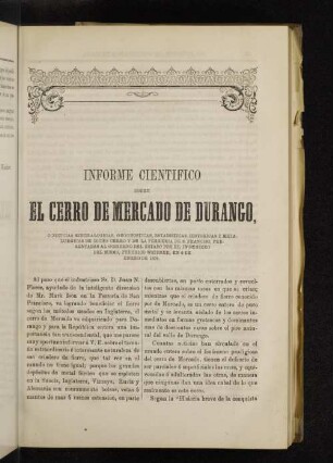 Informe cientifico sobre El Cerro de Mercado de Durango