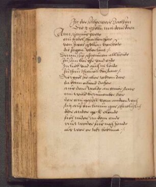 Die gselln mit dem Bern (1528); RSM 2S/254c