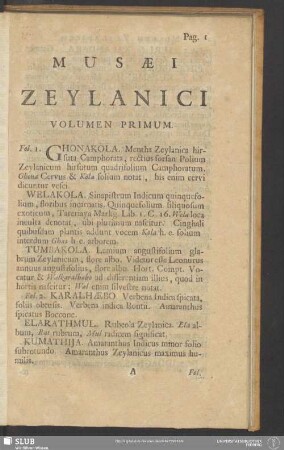 Musaei Zeylanici Volumen Primum