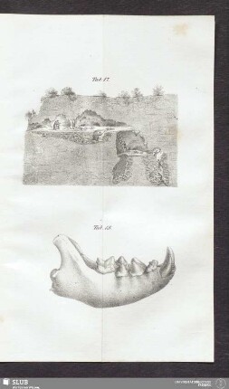 Tab. 17.