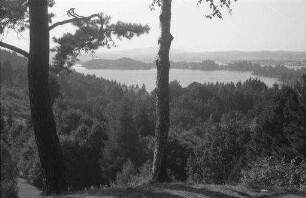 Murnau: Staffelsee vom Hügel am Kleingolfplatz, mit Kiefern