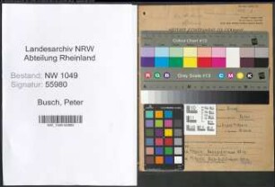 Entnazifizierung Peter Busch , geb. 09.04.1906 (Holzkaufmann)