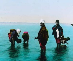 Weltreisen. Asiaten beim Sammeln von Meerestieren im flachen Wasser