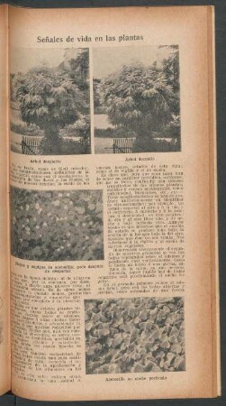 Señales de vida en las plantas