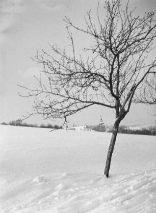 Cotta, Winter : Cotta. Blick von Nordwest auf den Cottaer Spitzbergern nach Nordost auf Kirche und Schule. Winterbild