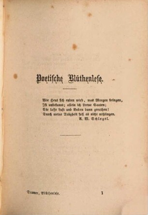 Blumen und Früchte aus dem Garten christlicher Weltanschauung und Lebensentwicklung