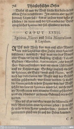 CAPUT XXXII. Spiritus, Flores und Salia Mineralium & Lapidum.