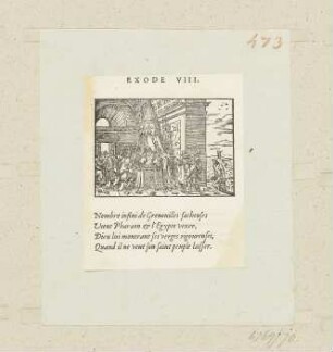 Froschplage, aus: Claude Paradin, "Quadrins historiques de la Bible", Lyon 1558