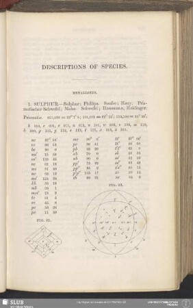 Descriptions Of Species
