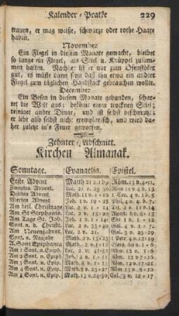Zehnter Abschnitt. Kirchen Almanak.