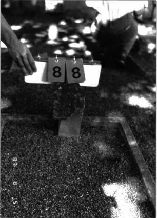 Grabstein 88 (Index: 100105404) Beschreibung: Grabeinfassung und Stellvertreter Besonderheit: Stellvertreter trägt die Nr. 18: Grabstein 88
