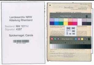 Entnazifizierung Carola Spickernagel , geb. 23.11.1901 (Studienraetin)