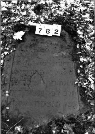 Grabstein 782