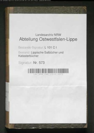 Konzept des Salbuchs des Amtes Schieder von 1859, Bd. 2