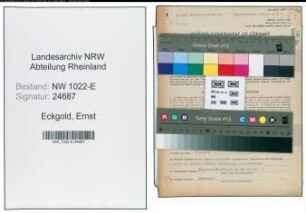 Entnazifizierung Ernst Eckgold , geb. 24.04.1895 (Postschaffner)