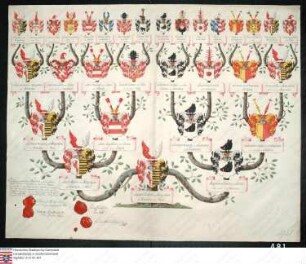 Ahnenprobe des August Christoph v. Wangenheim. - ausgefertigt 1787 Oktober 21, Pergament