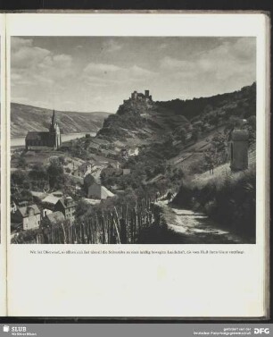 Seitentäler bei Oberwesel