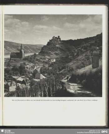 Seitentäler bei Oberwesel