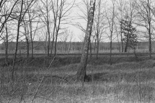 Landschaft bei Tröbitz