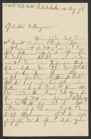 Brief an Woldemar Bargiel : 14.08.1895